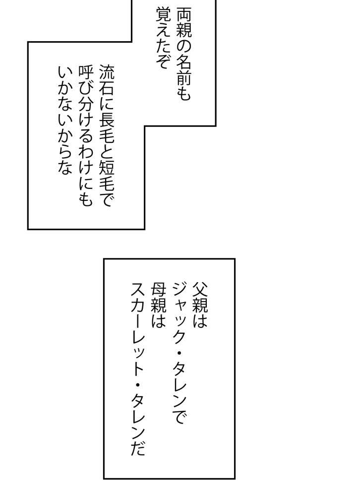 P53