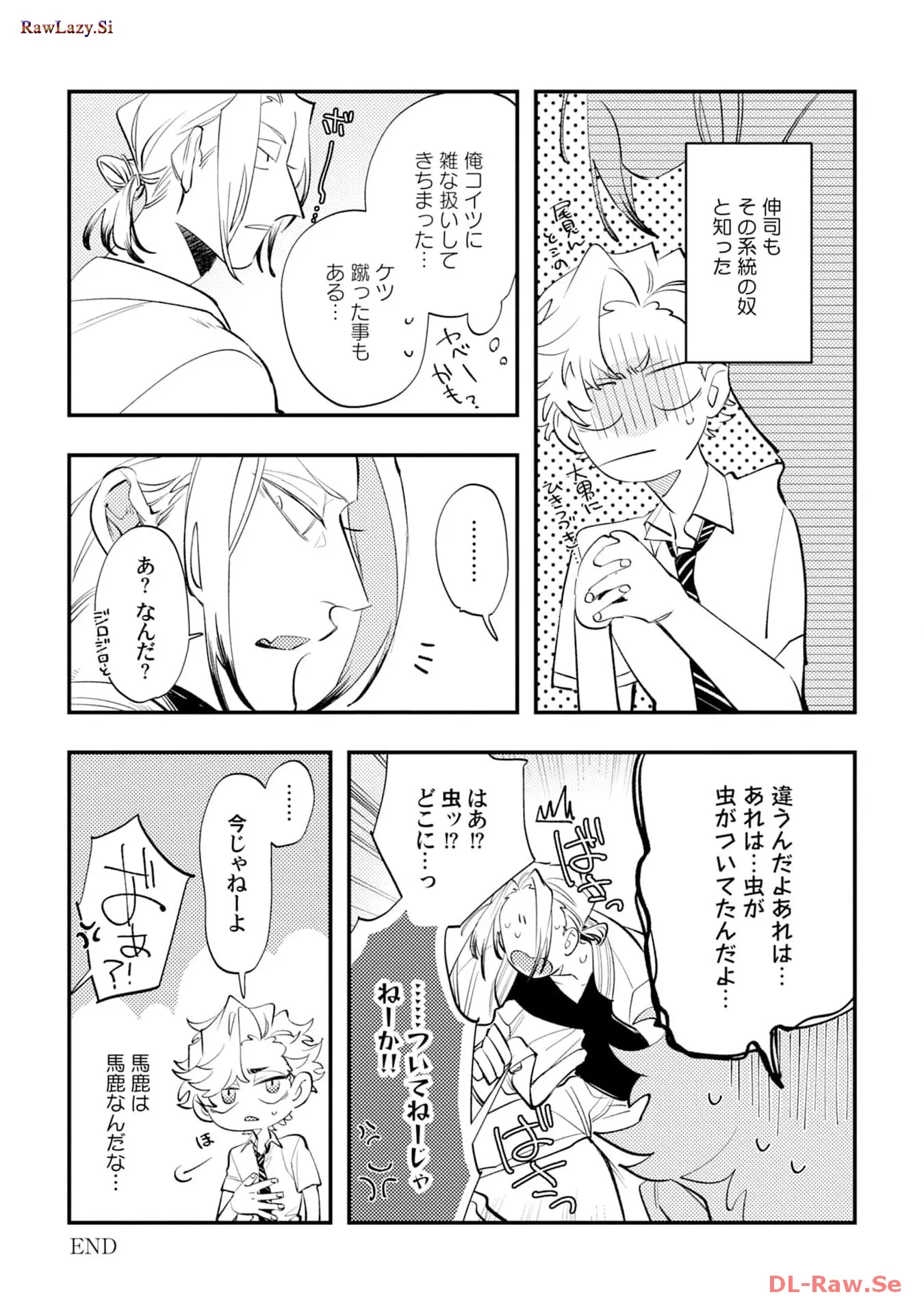P41