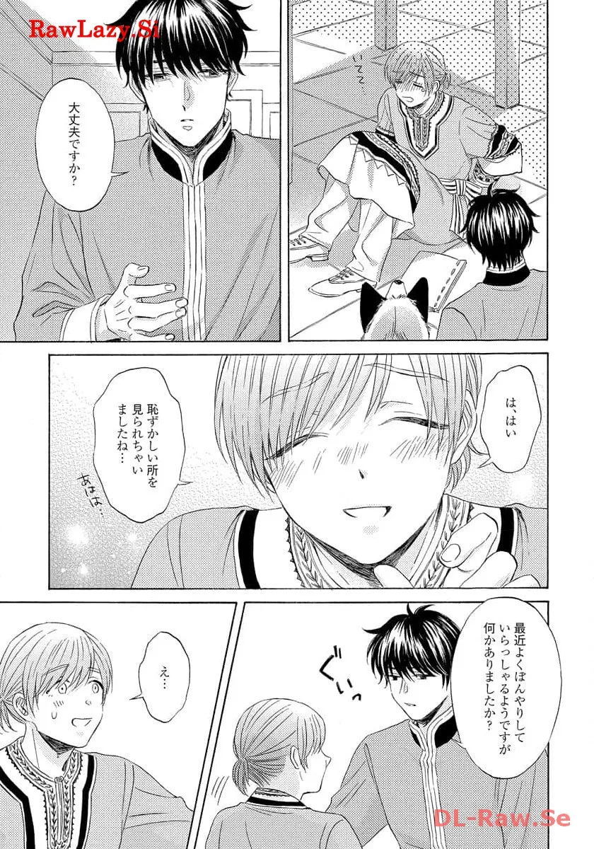P41