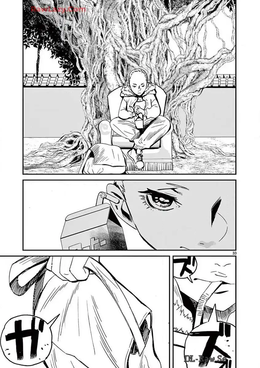 P33