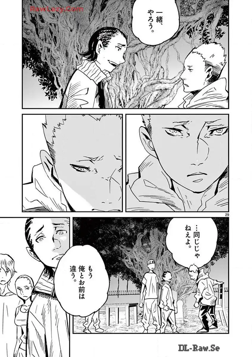 P29