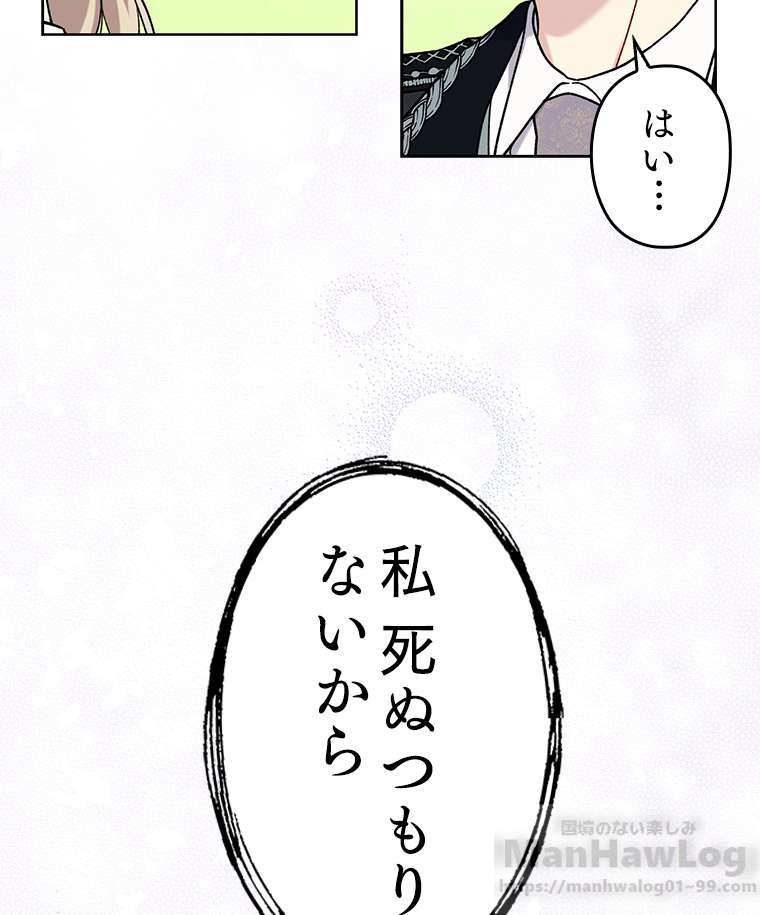 P61