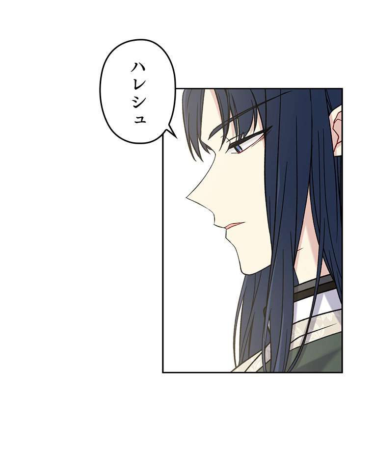 P53