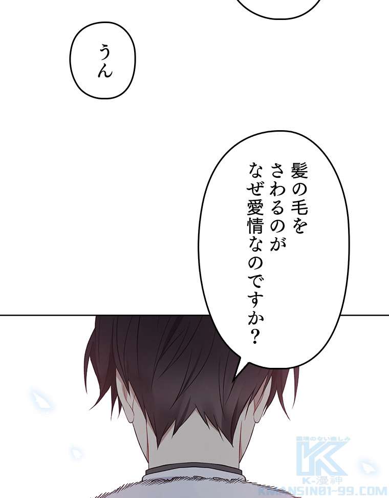 P58
