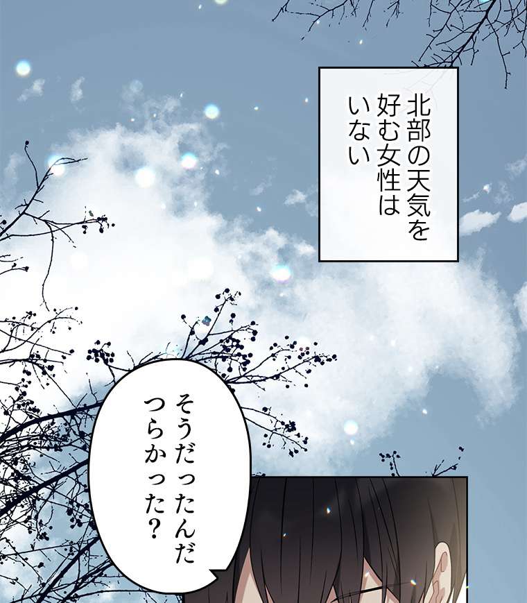 P66