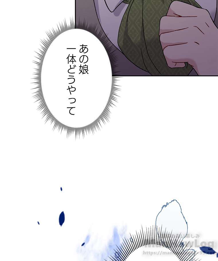 P61