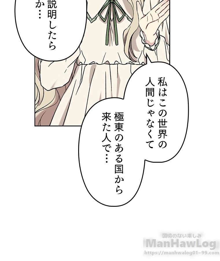 P58