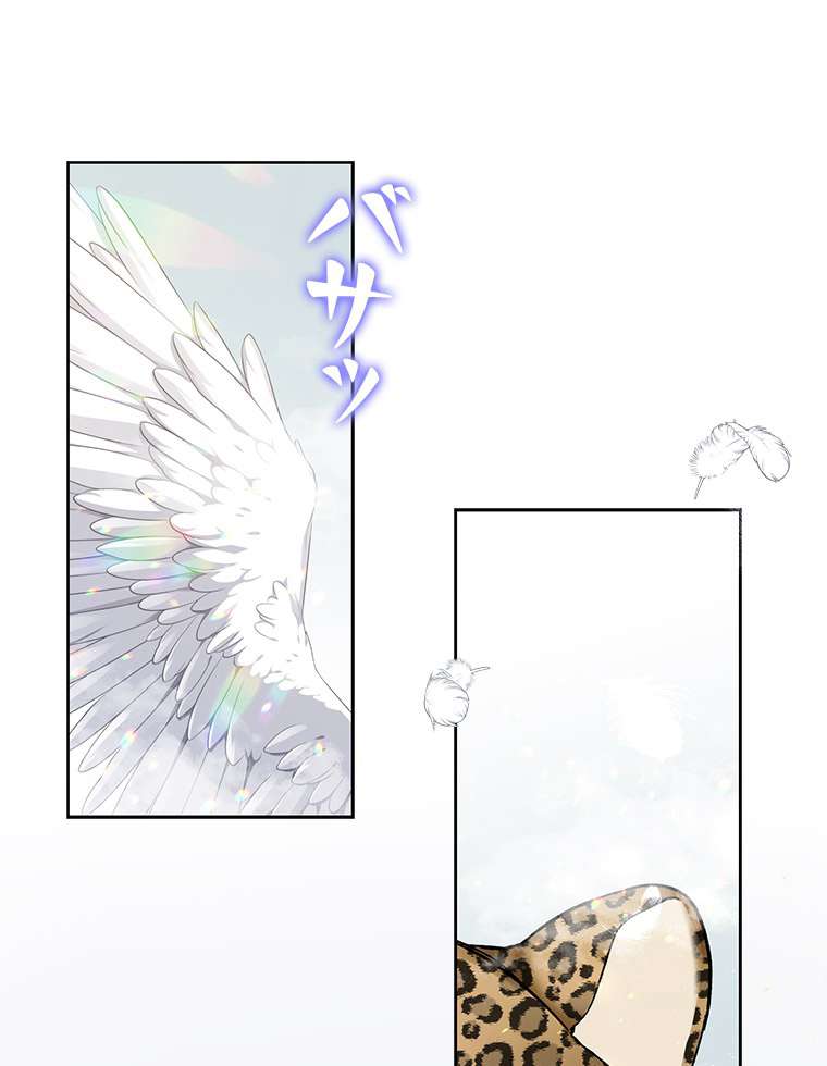 P68