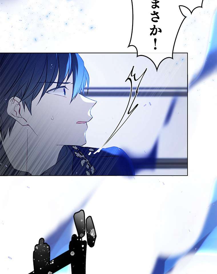 P63