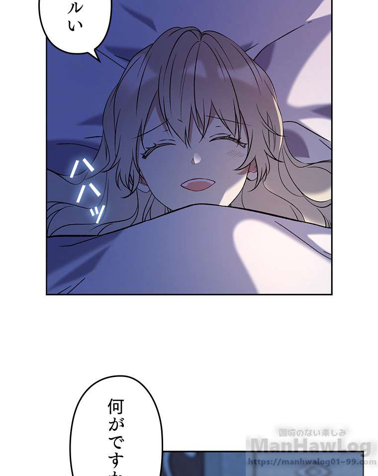 P61