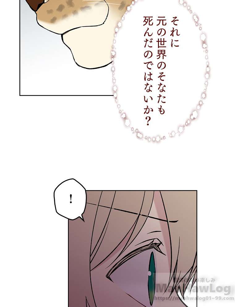 P43