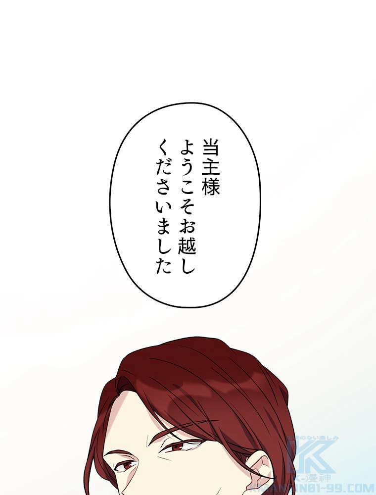P43