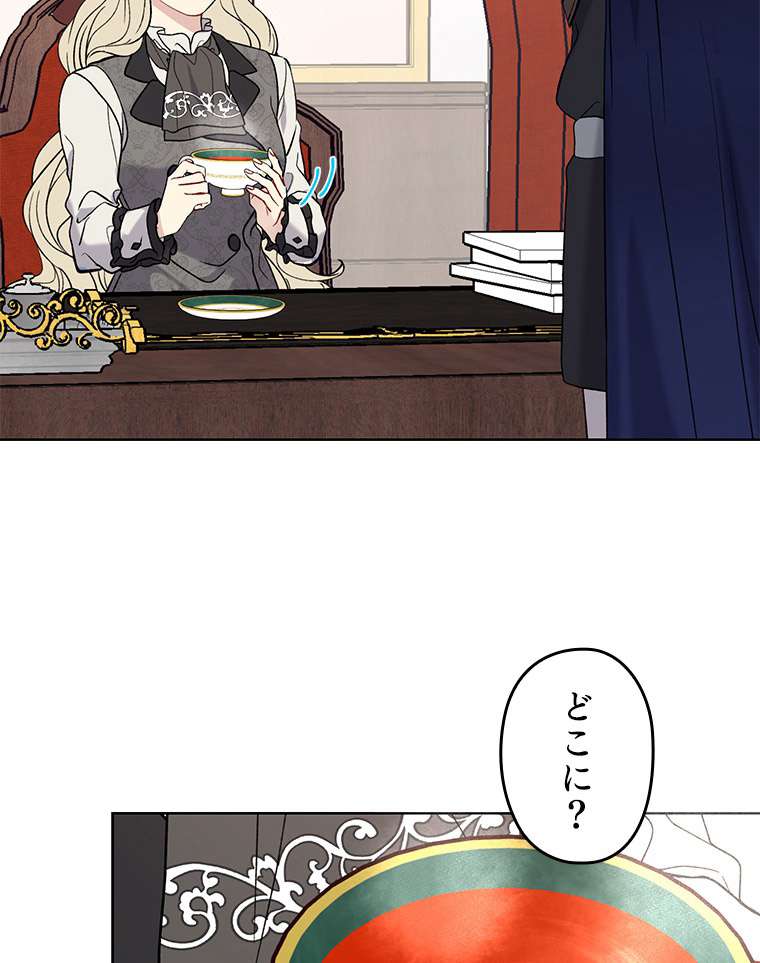 P63