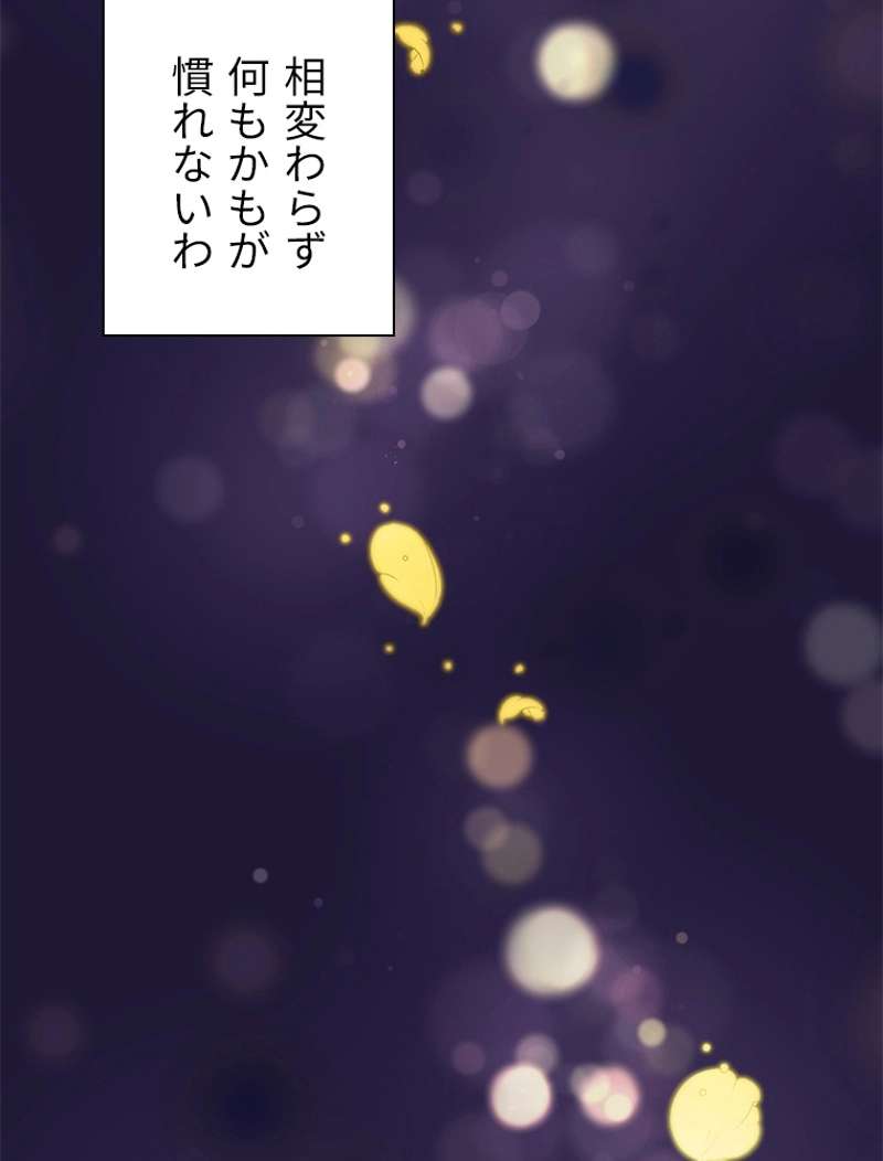 P66