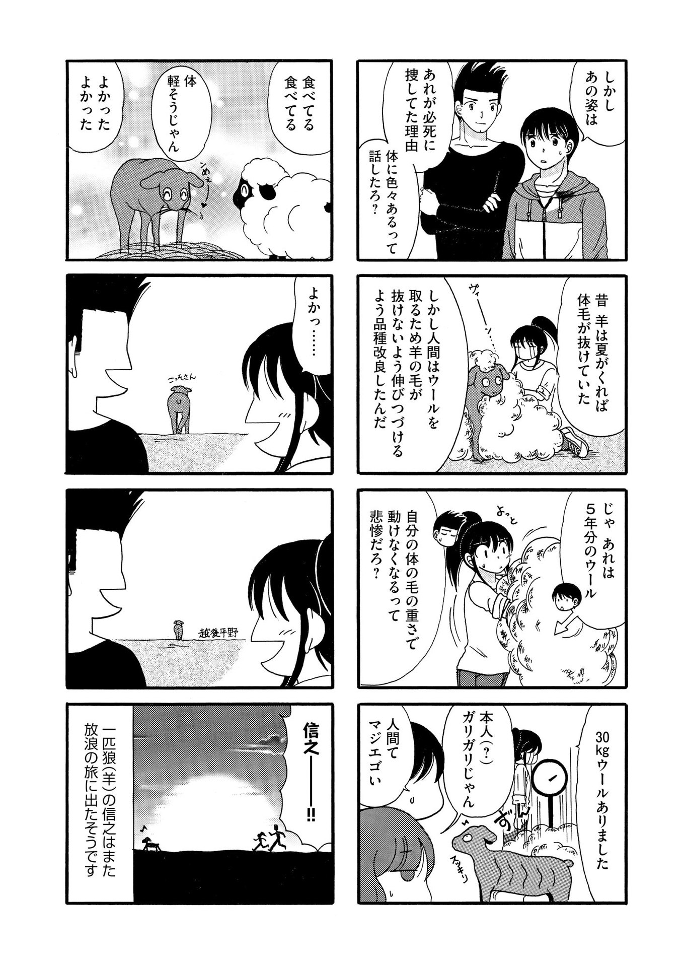 P43