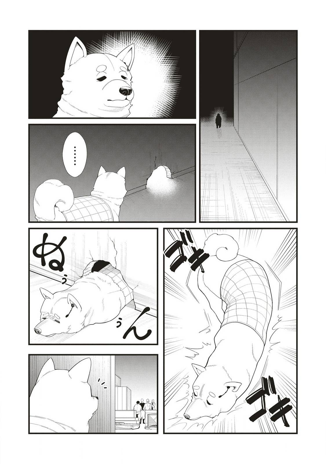 P23