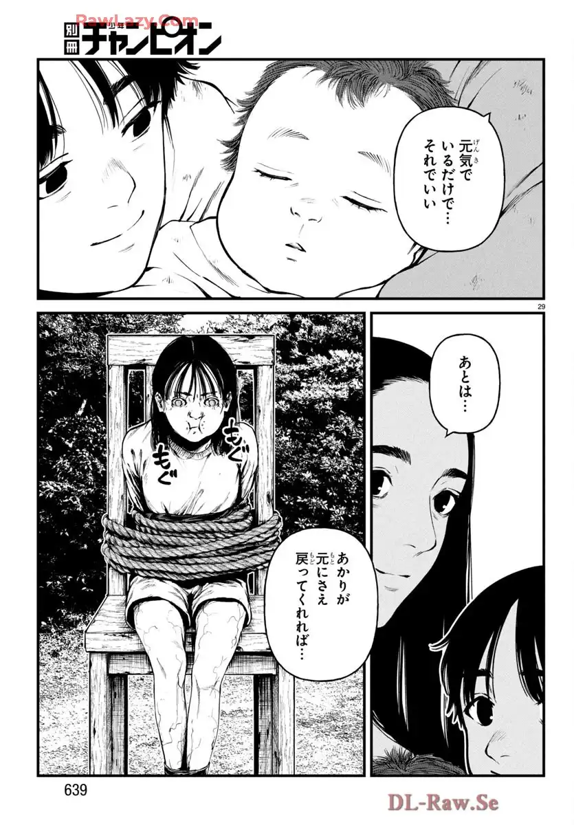 P29