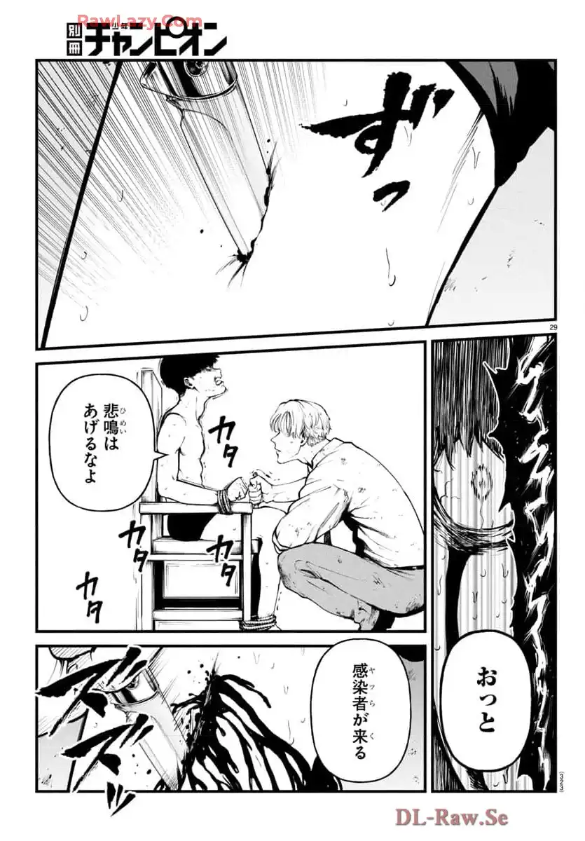 P29
