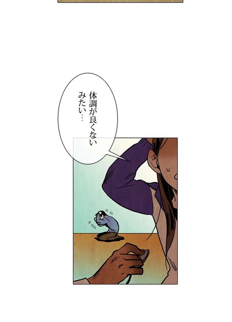 P66