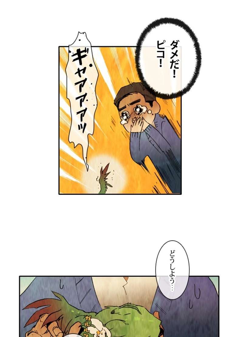 P20
