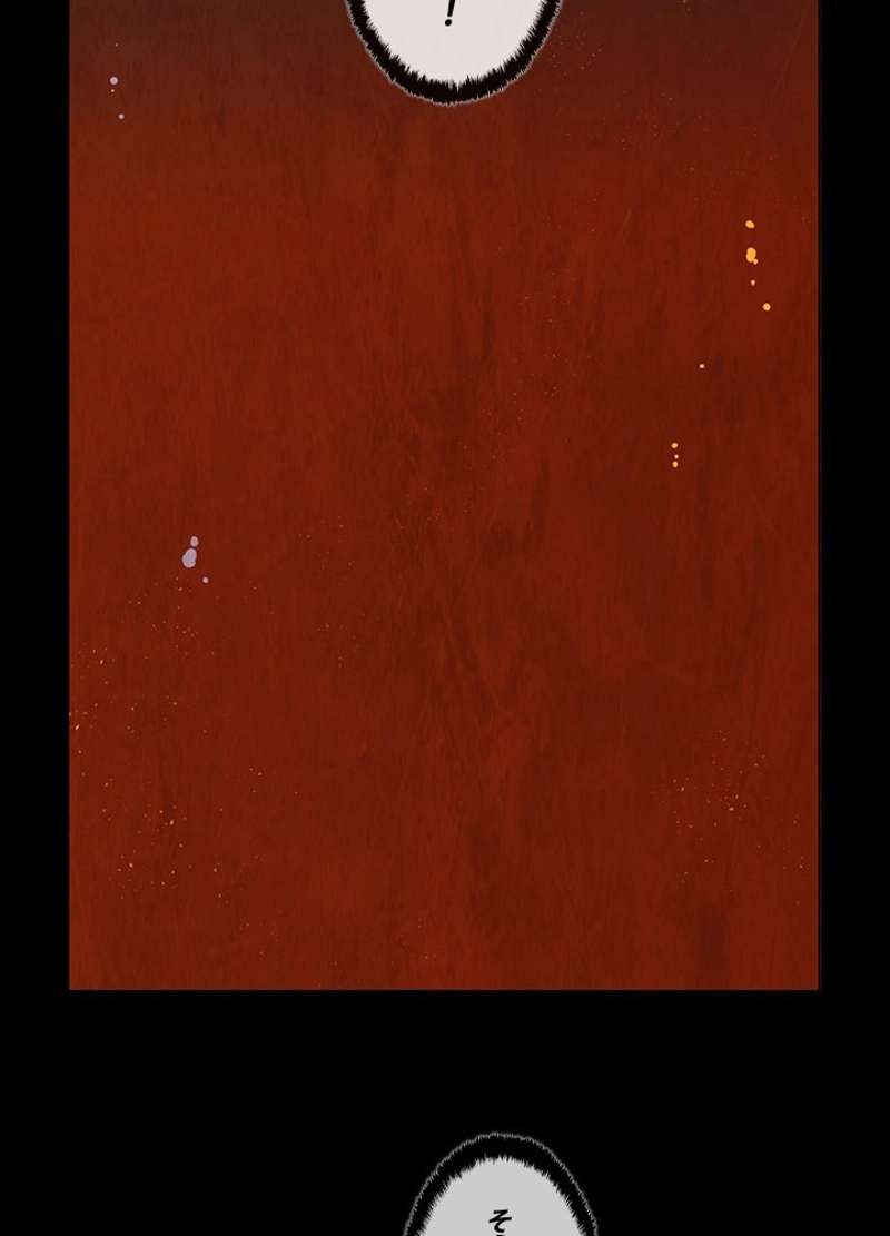 P53