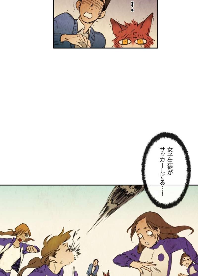 P44