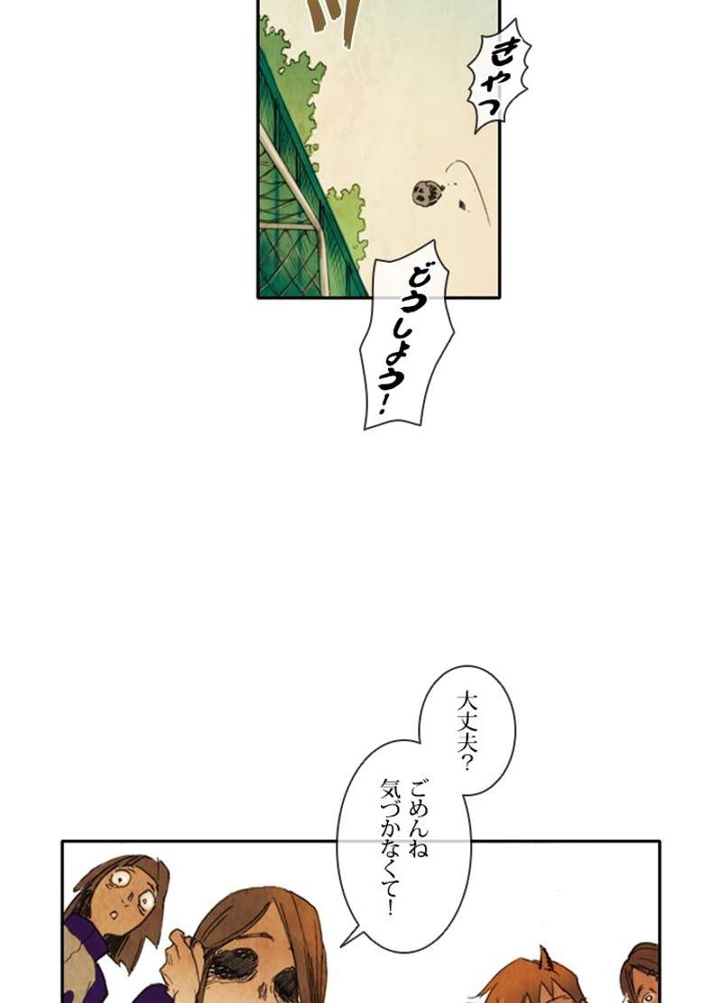 P53