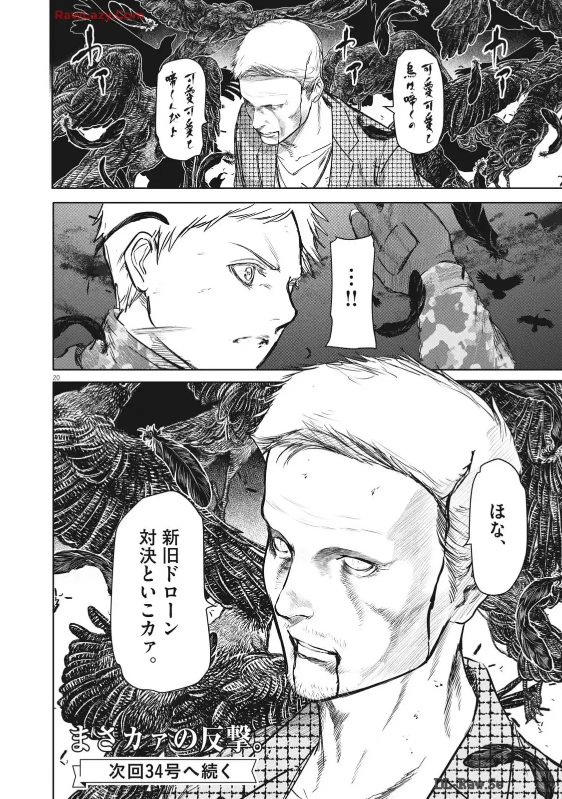 P20