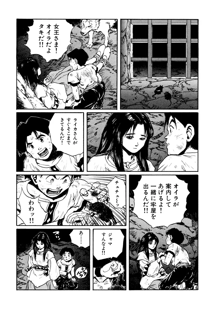 P41