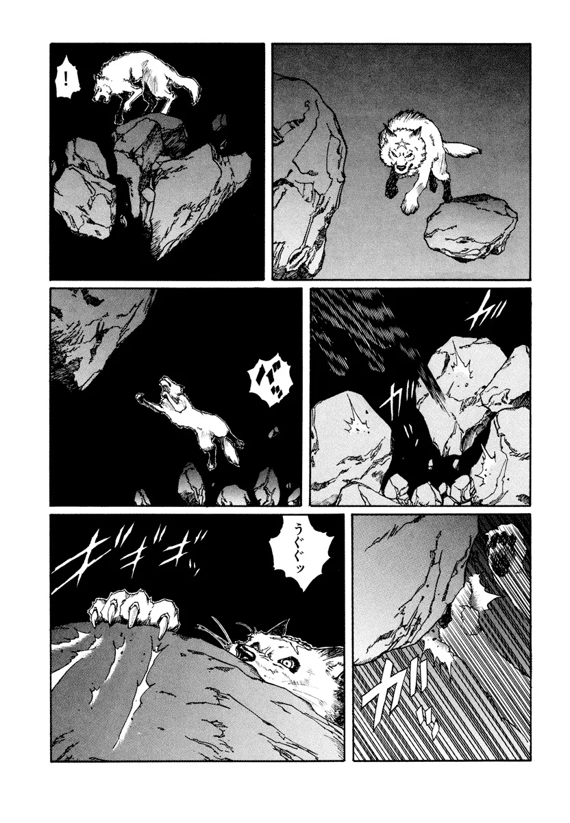 P66