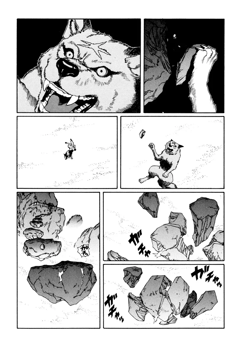 P67