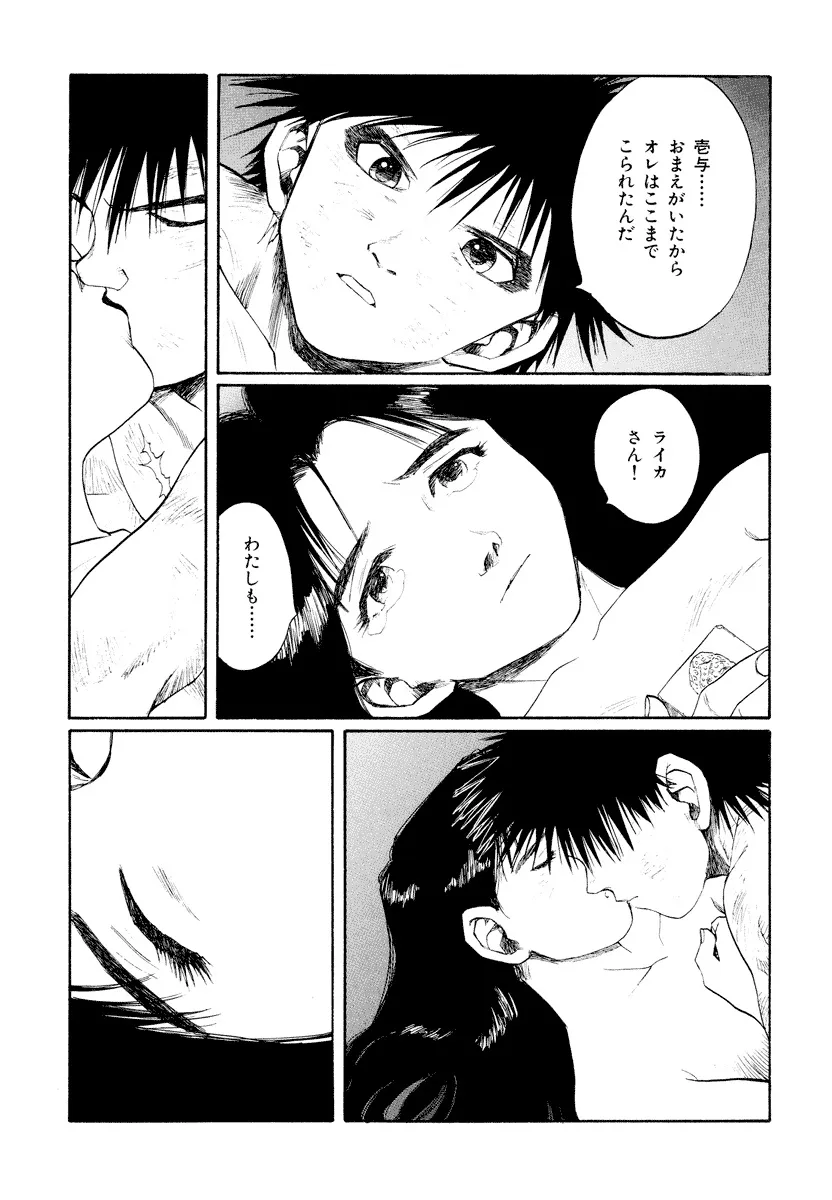 P41