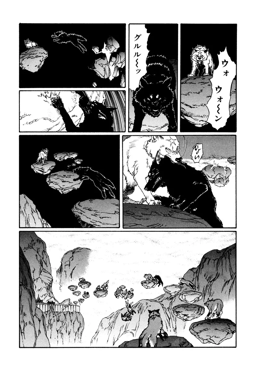 P61
