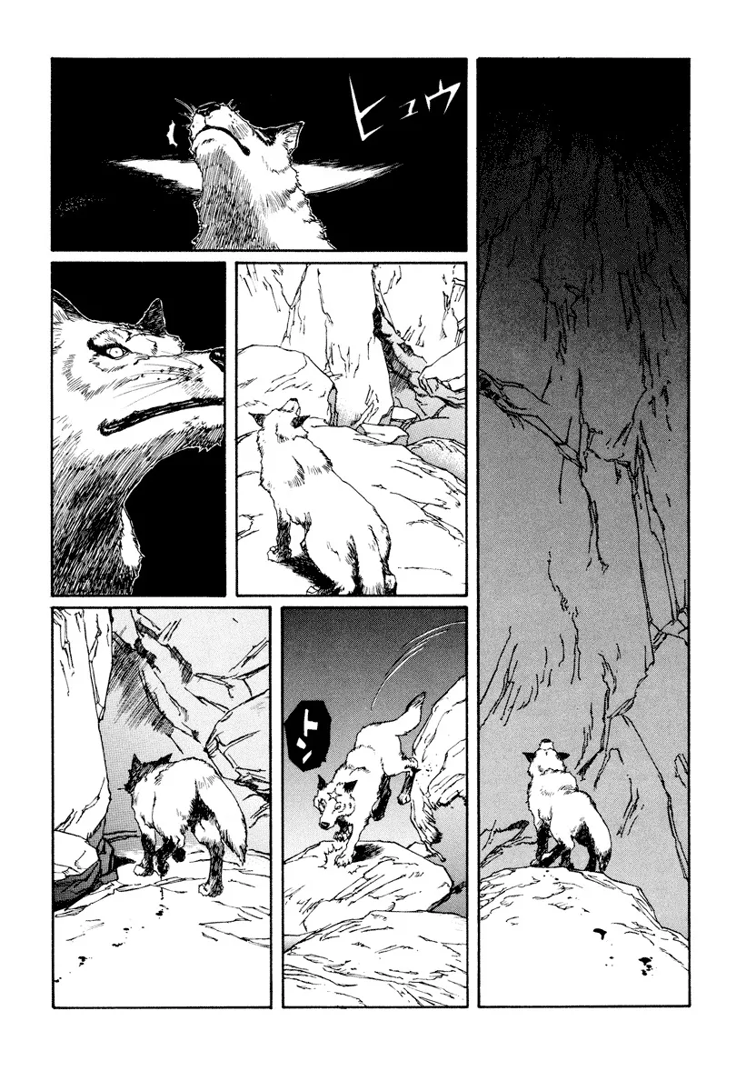 P66
