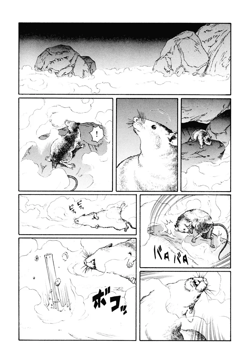 P27