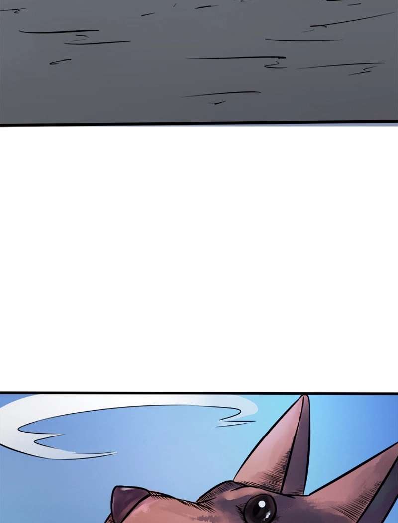 P53