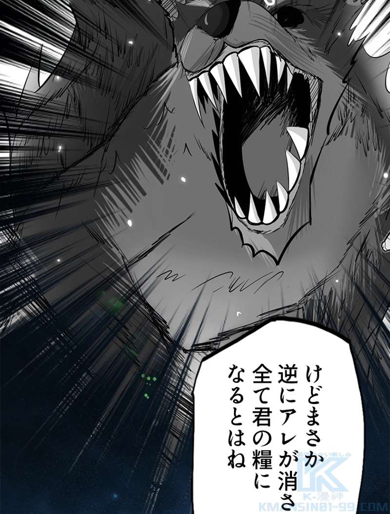 P40