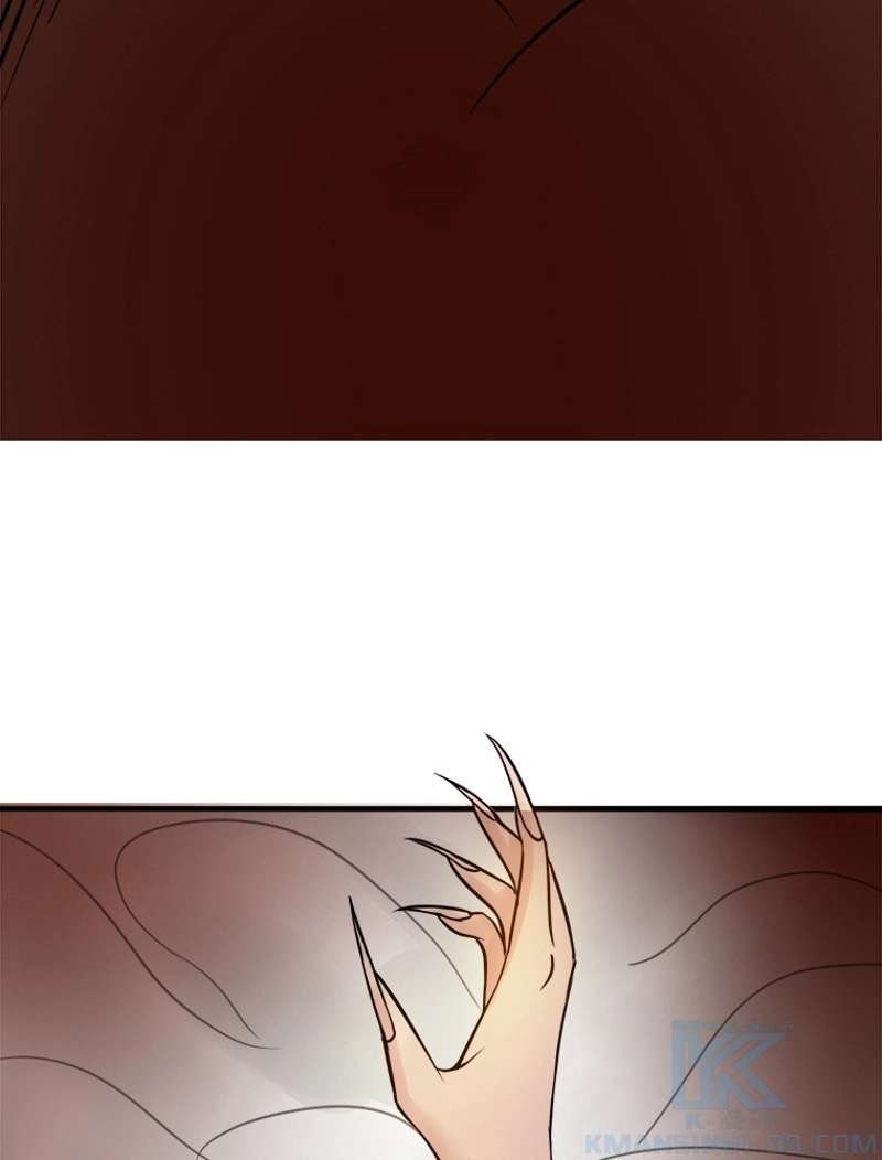 P61