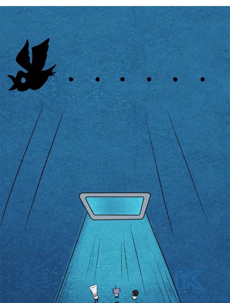 P61