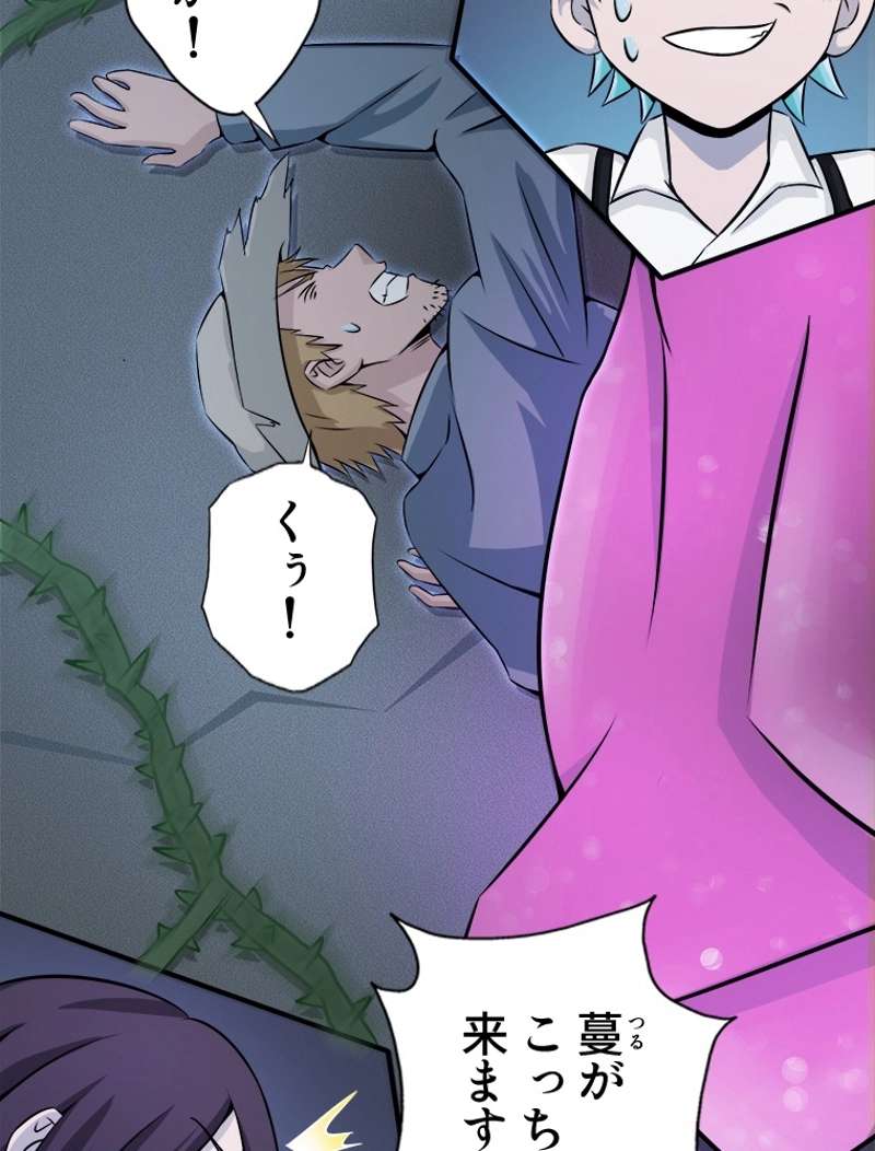P24