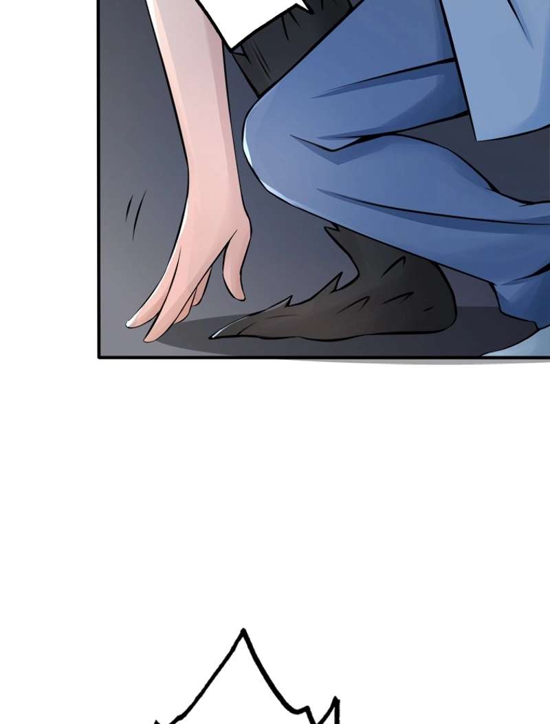 P53