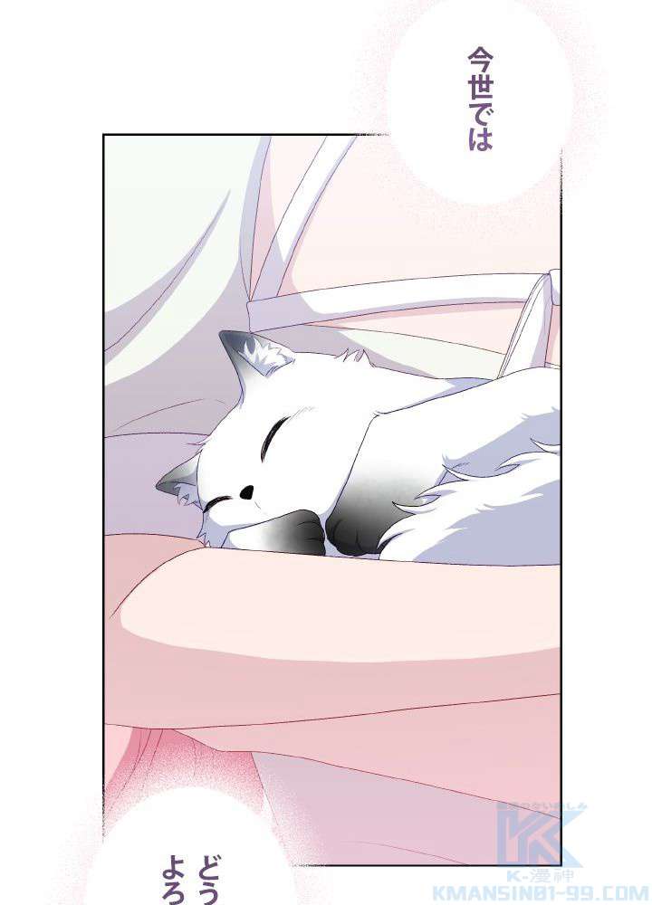 P67