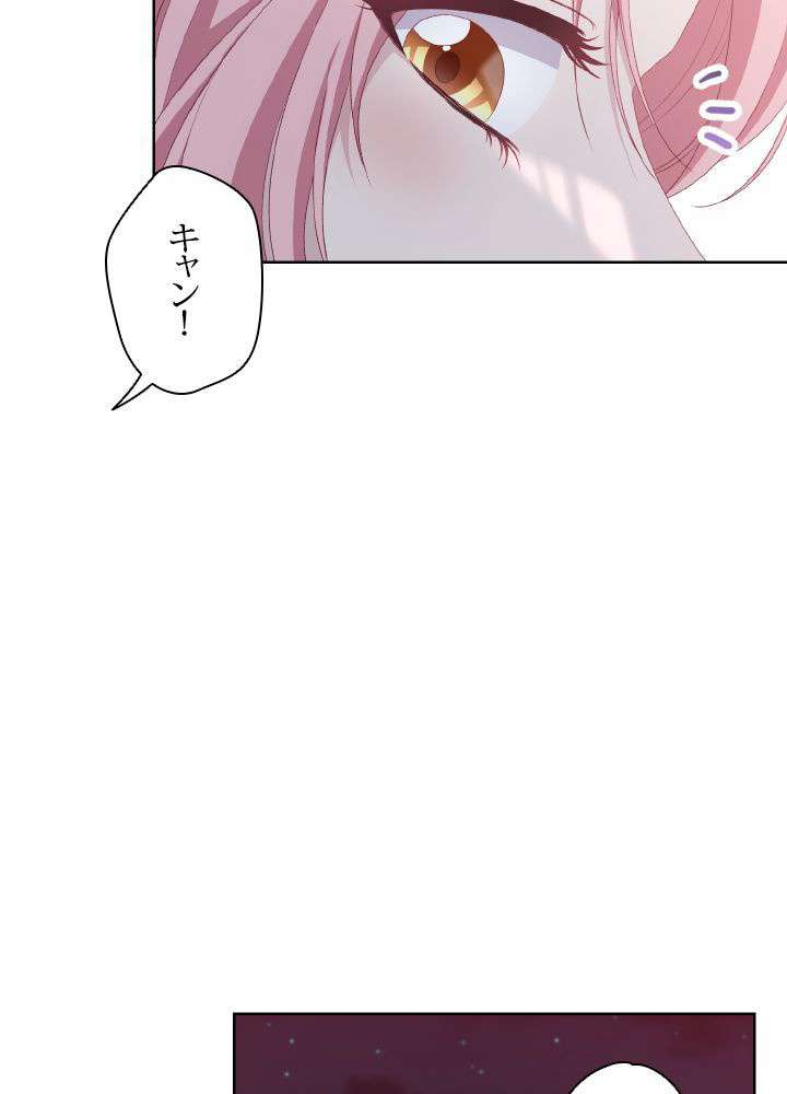 P101