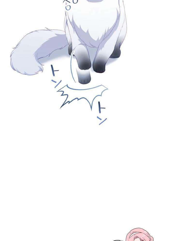P104