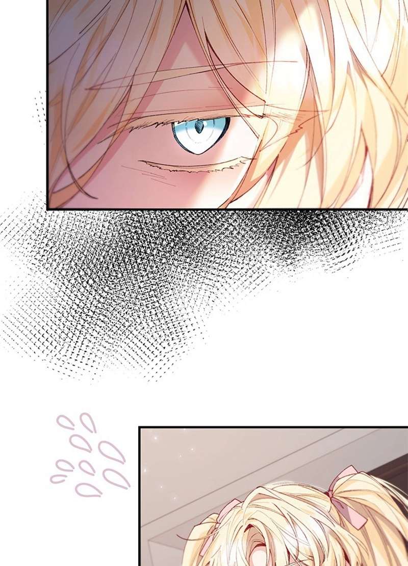 P66