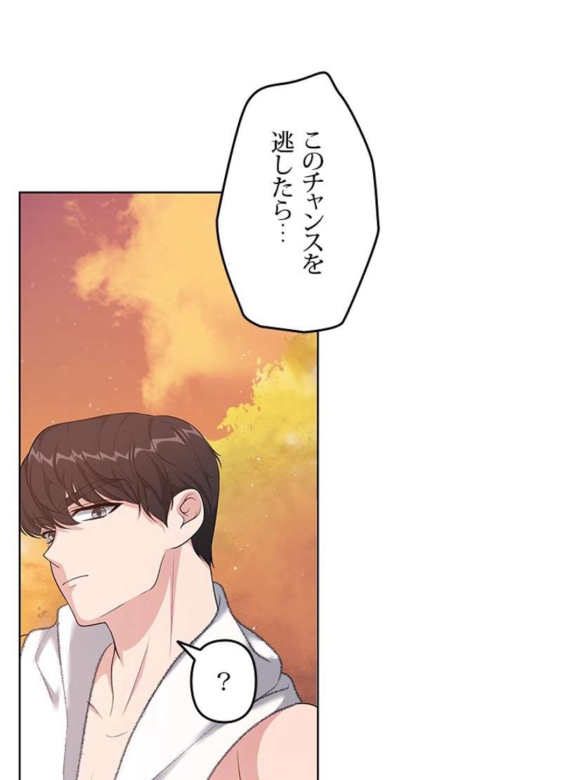 P66