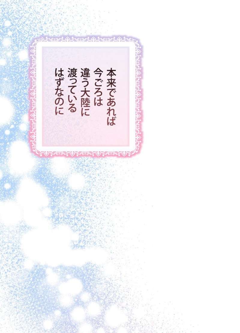 P65