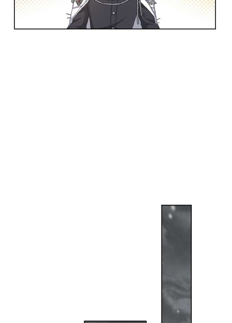 P53