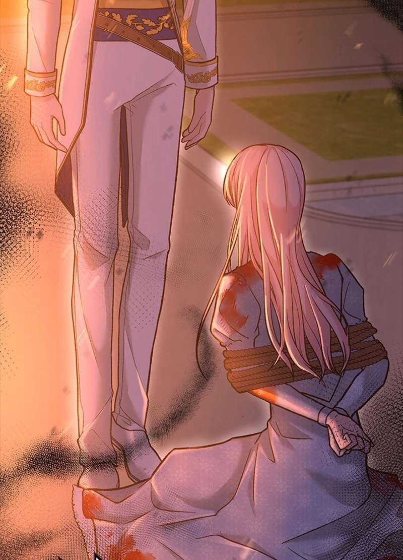P61