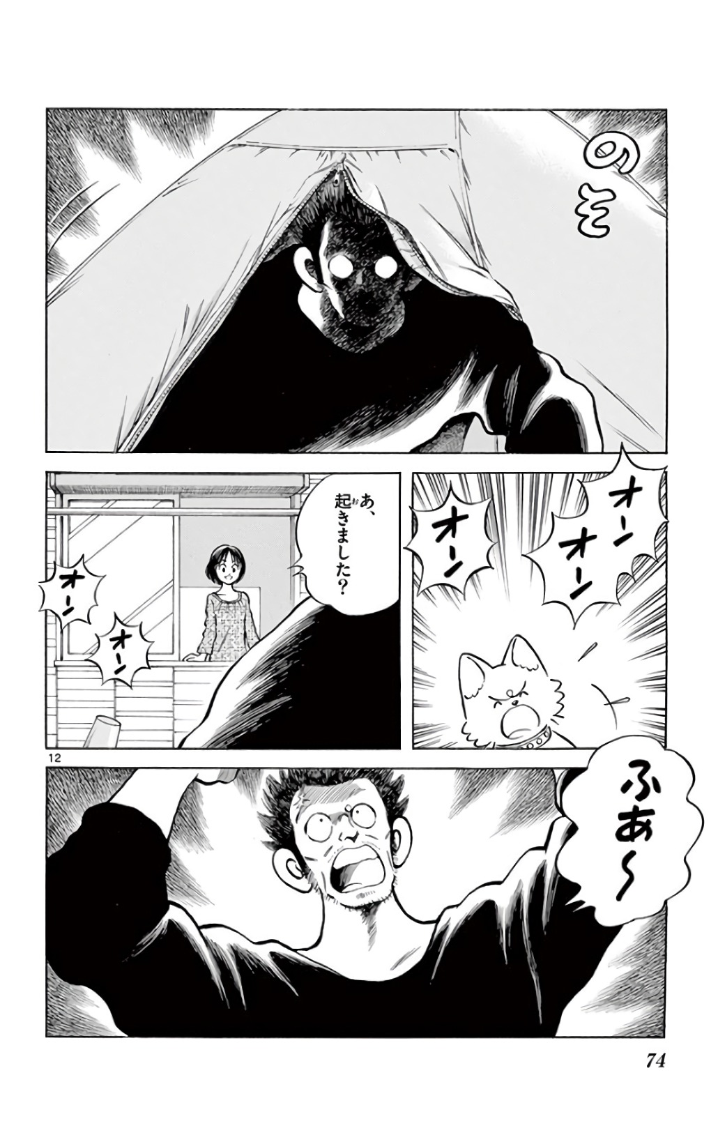 P12